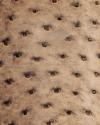 Close-up of textured brown ostrich leather, showing characteristic raised bumps and natural grain pattern.