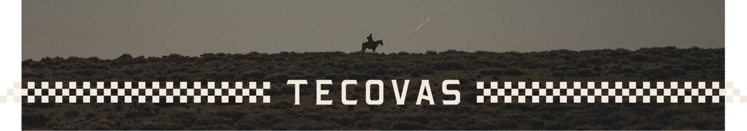 Silhouette of a person on horseback atop a ridge with brush, under a hazy sky, and the word "Tecovas" in bold letters at the bottom.