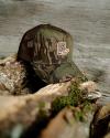 A camouflage-pattern trucker hat with a mesh back and an embroidered patch rests on stacked logs against a weathered wooden background.