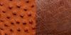 Closeup image of Full Quill and Smooth Quill Ostrich leather.