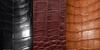 Close up image of Crocodile, Alligator and Caiman leather.