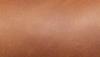 A close up picture of the Cowhide material