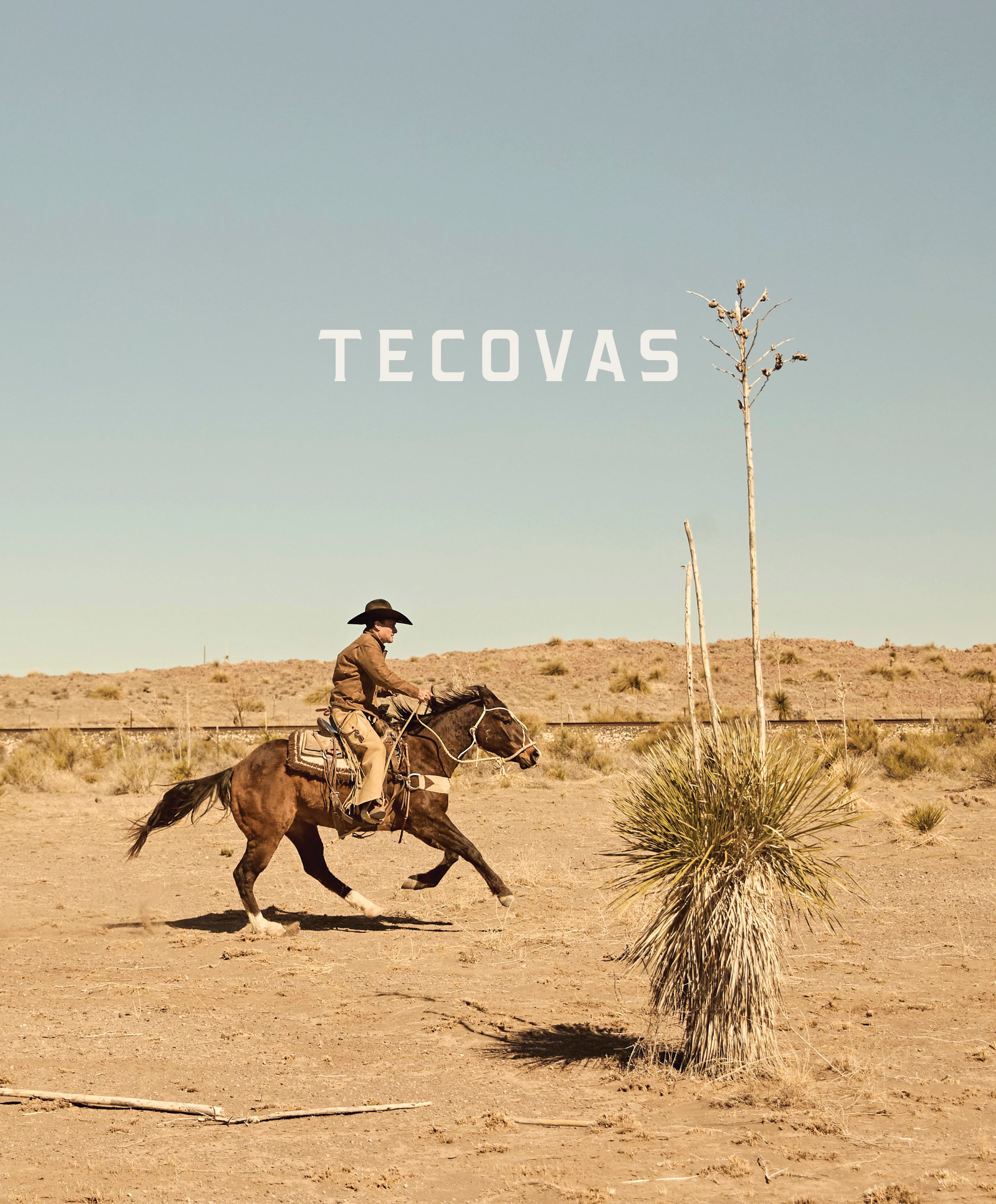 A wide shot of a cowboy on a brown horse running across a vast, sunny, dry prairie landscape with a yucca plant in the foreground. TECOVAS is centered in the sky.